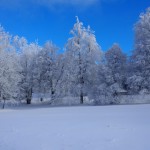 Winter auf der Silberhütte